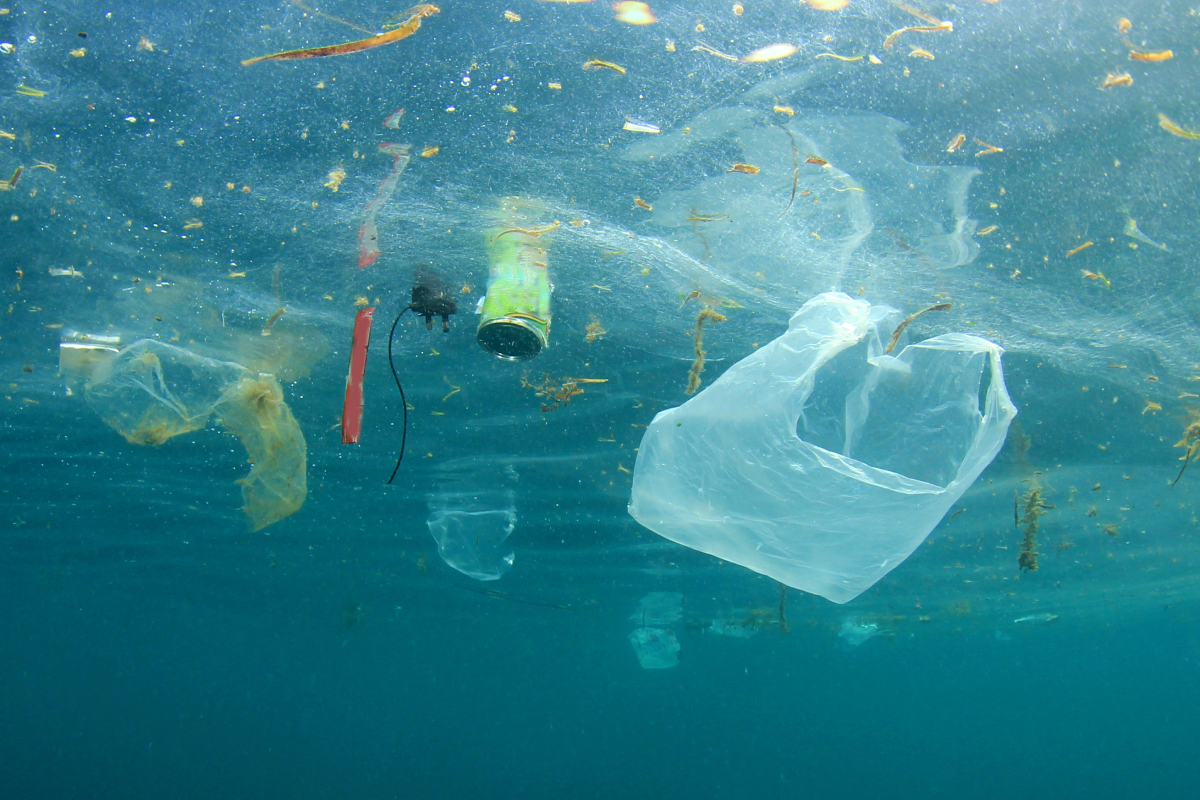 Plastic waste in the sea